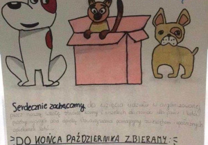 Promowanie akcji „Światowego Dnia Zwierząt”