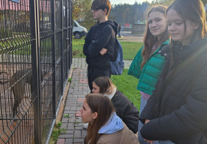 Każdy inny - wszyscy równi