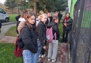 Październik miesiącem dobroci dla zwierząt