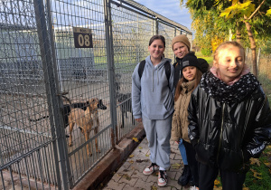 Październik miesiącem dobroci dla zwierząt