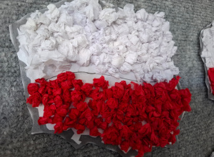 OBCHODY 11 LISTOPADA W "TRÓJCE"